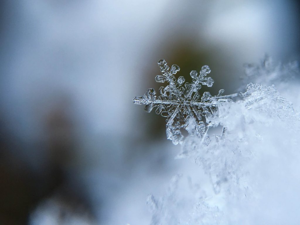 Flocon de neige